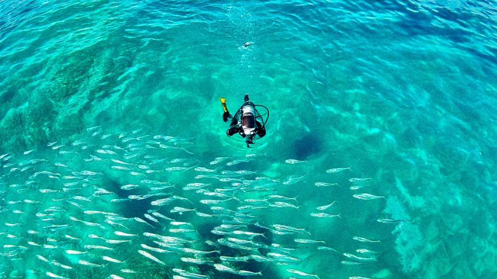 BAJAU